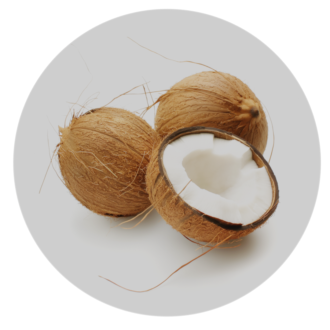 Mystic Standard Coconuts on White